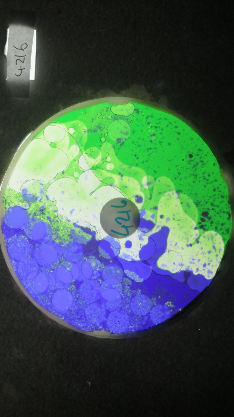 BV4216 bubble vision oil wheel